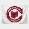 Defunct Cleveland Barons Hockey Tapestry Official Hockey Gifts Merch