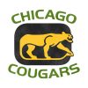 Defunct Chicago Cougars Hockey Team T-Shirt Official Hockey Gifts Merch